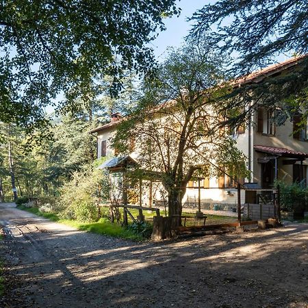 Vila Rifugio Asqua Poppi Exteriér fotografie